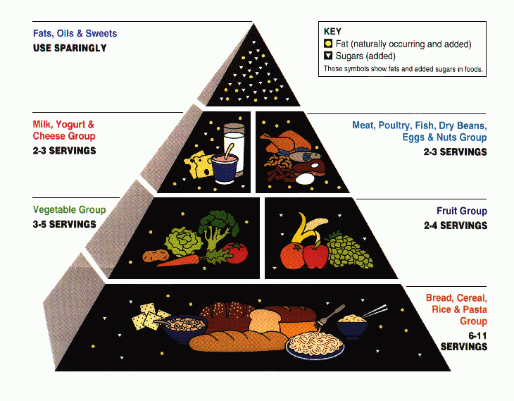 How Nutrition Actually Works